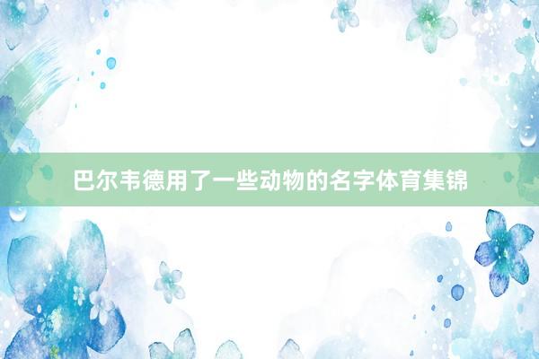 巴尔韦德用了一些动物的名字体育集锦