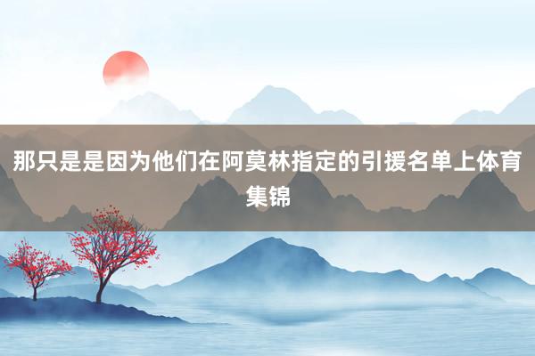 那只是是因为他们在阿莫林指定的引援名单上体育集锦