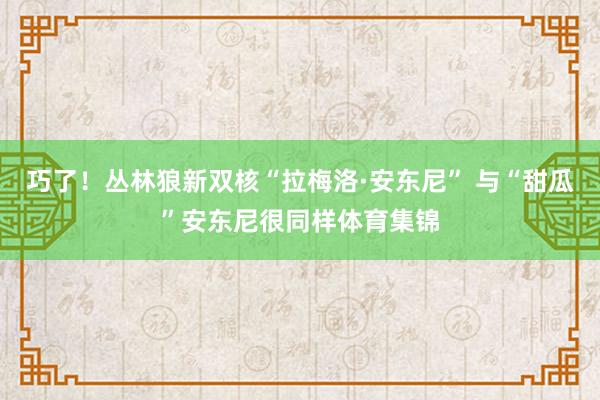 巧了！丛林狼新双核“拉梅洛·安东尼” 与“甜瓜”安东尼很同样体育集锦
