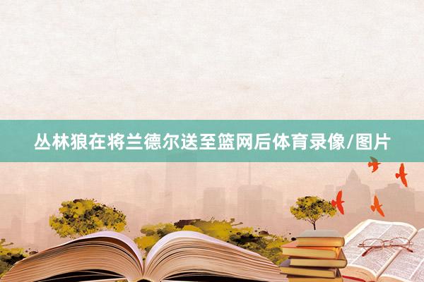 丛林狼在将兰德尔送至篮网后体育录像/图片