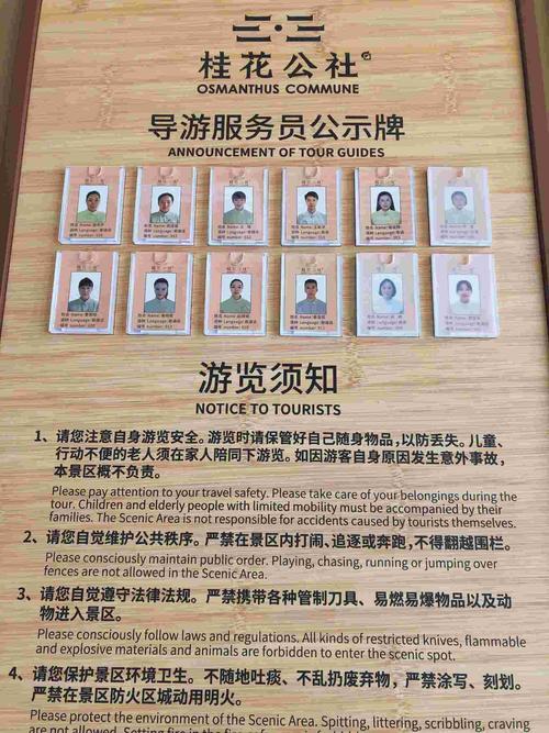 导游服务 旅行体验的灵魂与桥梁